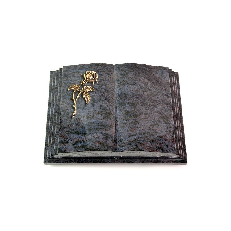 Grabbuch Livre Pagina/Orion Rose 2 (Bronze) 50x40