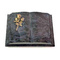 Grabbuch Livre Pagina/Orion Rose 11 (Bronze) 50x40