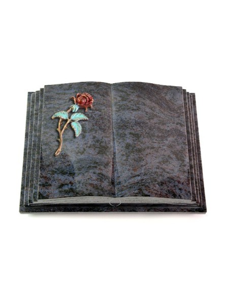Grabbuch Livre Pagina/Orion Rose 2 (Color) 50x40