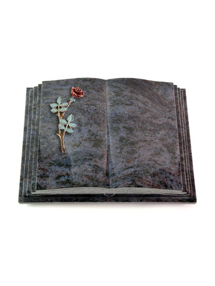 Grabbuch Livre Pagina/Orion Rose 4 (Color) 50x40