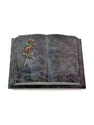 Grabbuch Livre Pagina/Orion Rose 6 (Color) 50x40