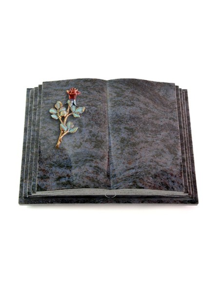 Grabbuch Livre Pagina/Orion Rose 7 (Color) 50x40