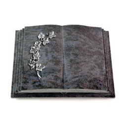 Grabbuch Livre Pagina/Orion Efeu (Alu) 50x40