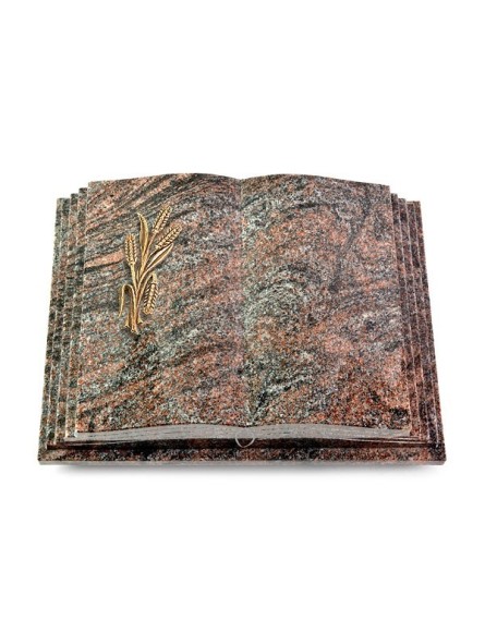 Grabbuch Livre Pagina/Paradiso Ähren 1 (Bronze) 50x40