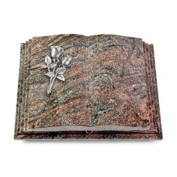 Grabbuch Livre Pagina/Paradiso Rose 11 (Alu) 50x40