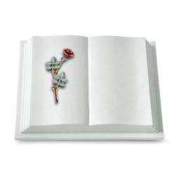 Grabbuch Livre Pagina/Omega Marmor Rose 4 (Color)