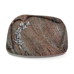 Grabbuch Papyros/Paradiso Efeu (Alu)