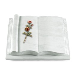 Grabbuch Antique/Omega Marmor Rose 6 (Color)