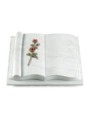 Grabbuch Antique/Omega Marmor Rose 6 (Color)