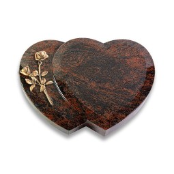 Amoureux/Aruba Rose 6 (Bronze)