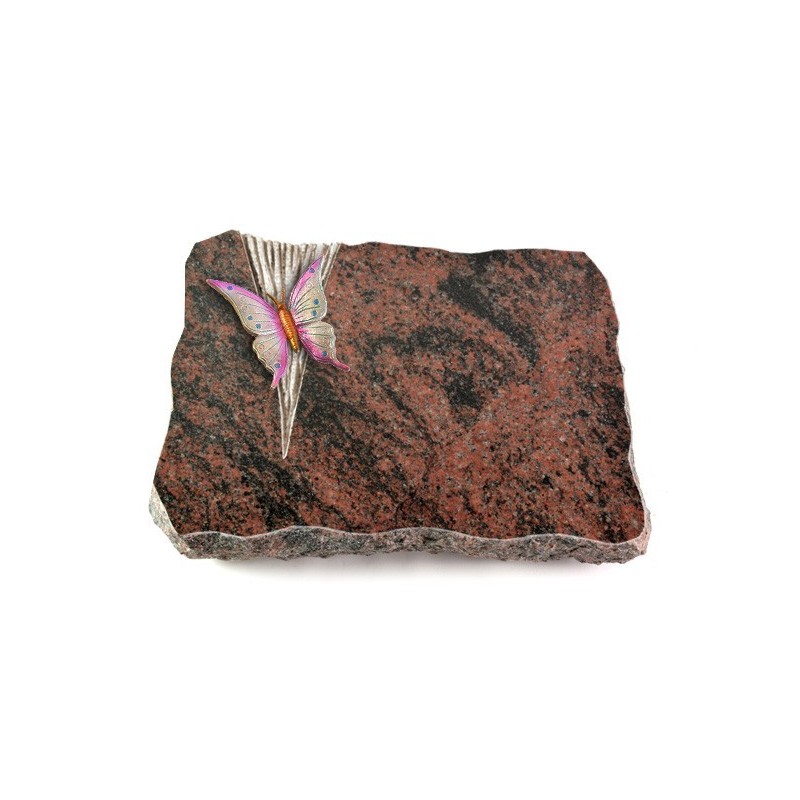 Grabplatte Aruba Delta Papillon 1 (Color)