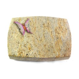 Grabkissen Roma/New-Kashmir Papillon 1 (Color)