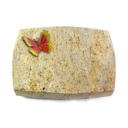 Grabkissen Roma/New-Kashmir Papillon 2 (Color)