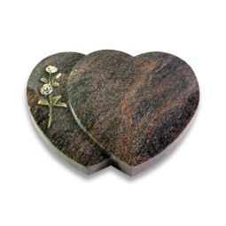 Grabkissen Amoureux/Himalaya Rose 8 (Color)