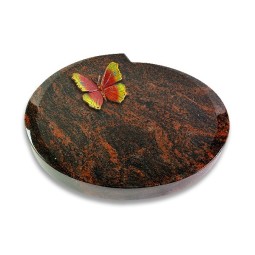 Grabkissen Baroque/Aruba Papillon 2 (Color)