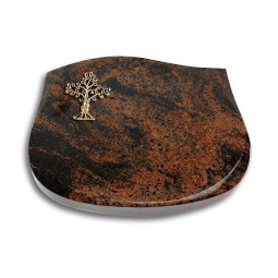 Grabkissen Cassiopeia/Aruba Baum 2 (Bronze)