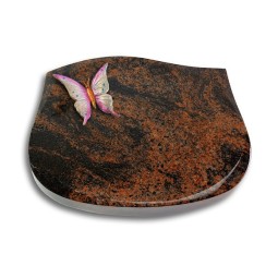 Grabkissen Cassiopeia/Aruba Papillon 1 (Color)