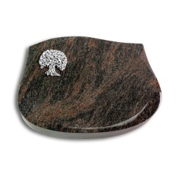 Grabkissen Cassiopeia/Himalaya Baum 3 (Alu)