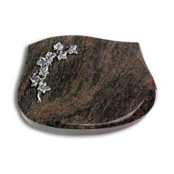Grabkissen Cassiopeia/Himalaya Efeu (Alu)