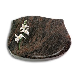Grabkissen Cassiopeia/Himalaya Orchidee (Color)