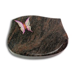 Grabkissen Cassiopeia/Himalaya Papillon 1 (Color)