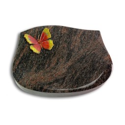 Grabkissen Cassiopeia/Himalaya Papillon 2 (Color)