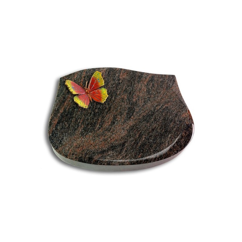 Grabkissen Cassiopeia/Himalaya Papillon 2 (Color)