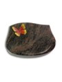 Grabkissen Cassiopeia/Himalaya Papillon 2 (Color)