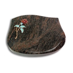 Grabkissen Cassiopeia/Himalaya Rose 2 (Color)