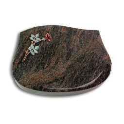 Grabkissen Cassiopeia/Himalaya Rose 4 (Color)