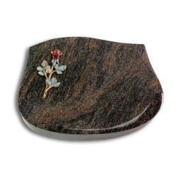 Grabkissen Cassiopeia/Himalaya Rose 7 (Color)
