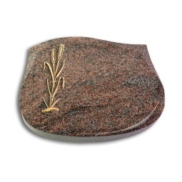 Grabkissen Cassiopeia/Paradiso Ähren 2 (Bronze)