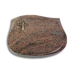 Cassiopeia/Orion Baum 2 (Bronze)
