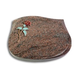 Grabkissen Cassiopeia/Paradiso Rose 2 (Color)