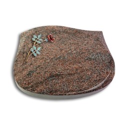 Grabkissen Cassiopeia/Paradiso Rose 4 (Color)