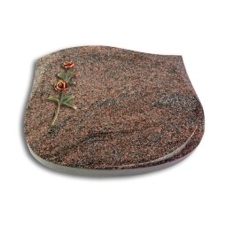 Grabkissen Cassiopeia/Paradiso Rose 6 (Color)