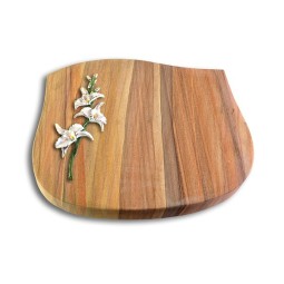 Grabkissen Cassiopeia/Rainbow Orchidee (Color)