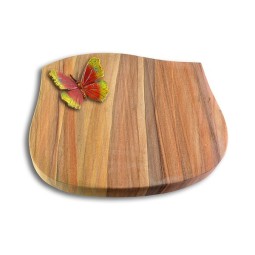 Grabkissen Cassiopeia/Rainbow Papillon 2 (Color)