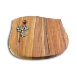 Grabkissen Cassiopeia/Rainbow Rose 7 (Color)