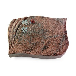 Grabkissen Eterna/Paradiso Rose 4 (Color)