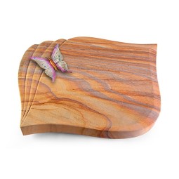 Grabkissen Eterna/Rainbow Papillon 1 (Color)