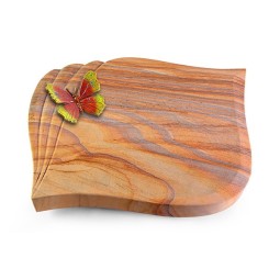 Grabkissen Eterna/Rainbow Papillon 2 (Color)