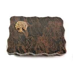 Barap Pure Baum 2 (Bronze)