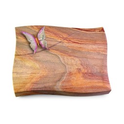 Grabkissen Firenze/Rainbow Papillon 1 (Color)