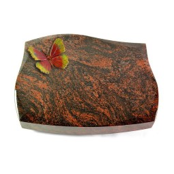 Grabkissen Galaxie/Aruba Papillon 2 (Color)