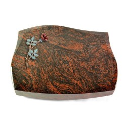 Grabkissen Galaxie/Aruba Rose 4 (Color)