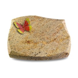 Grabkissen Galaxie/Kashmir Papillon 2 (Color)