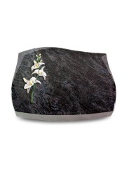 Grabkissen Galaxie/Orion Orchidee (Color)