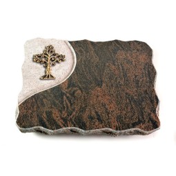 Barap Folio Baum 1 (Bronze)
