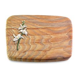 Grabkissen Linea/Rainbow Orchidee (Color)